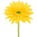Floristik24 Gerbere artificiali, giallo sole, fiori da giardino, 47 cm, 6 pezzi