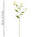 Fiore artificiale Gloriosa, bianco e giallo, elegante ramo fiorito decorativo, 80 cm, 3 pezzi | Floristik24.it