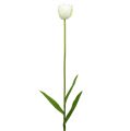 Floristik24 Tulipani artificiali Bianco-Verde 86cm 3 pezzi