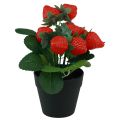 Floristik24 Pianta di fragola artificiale in vaso pianta artificiale 19 cm