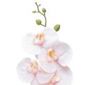 Floristik24 Orchidea artificiale rosa Phalaenopsis Real Touch 83 cm