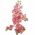 Floristik24 Orchidee artificiali deco fiore artificiale orchidea rosa 71cm