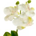 Floristik24 Orchidee artificiali Fiore artificiale orchidea bianco 20cm
