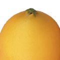 Floristik24 Manichini alimentari decorativi al limone artificiale arancione 8,5 cm