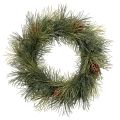 Floristik24 Ghirlanda artificiale di rami di pino con pigne, 60 cm