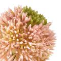 Floristik24 Allium artificiale aglio ornamentale rosa verde Ø10cm L65cm