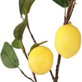 Floristik24 Ramo decorativo di ramo di limone artificiale con 3 limoni gialli 65 cm
