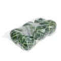 Floristik24 Zucca artificiale verde scuro 11 cm 6 pezzi