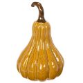 Zucca decorativa per la tavola