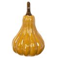 Zucca decorativa per la tavola