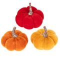 Floristik24 Set di zucche decorative in velluto in tre colori, mini zucche da 5 cm, 12 pezzi