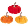 Set di zucche decorative in