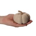 Zucca decorativa lavorata a maglia, decorazione autunnale, 10 cm, 6 pezzi | Floristik24.it