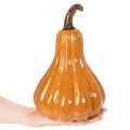 Zucca in ceramica, decorazione autunnale da tavolo, 26 cm | Floristik24.it