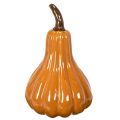 Zucca in ceramica, decorazione