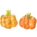 Floristik24 Zucca decorativa per la tavola autunnale, 6 cm, 2 pezzi