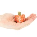Set di zucche: piccole zucche decorative per decorazioni autunnali, 5 cm, 3 pezzi | Floristik24.it