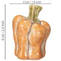 Set di zucche: piccole zucche decorative per decorazioni autunnali, 5 cm, 3 pezzi | Floristik24.it