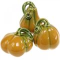 Floristik24 Zucca decorativa in ceramica arancione, verde assortita H7.5/10/11cm 3pz