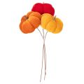 Zucca decorativa su filo,