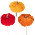 Zucca decorativa su filo,