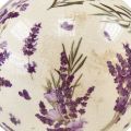 Floristik24 Sfera in ceramica con motivo lavanda decoro ceramica viola panna 12cm
