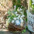 Floristik24 Vaso a sfera vaso per fiori in vetro rotondo decorazione in vetro H10cm Ø11cm
