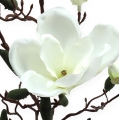 Floristik24 Ramo di magnolia crema artificiale 90 cm