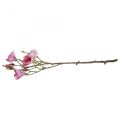 Floristik24 Ramo di magnolia fiore artificiale, magnolia rosa rosa 92 cm