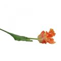 Floristik24 Fiore artificiale, tulipano pappagallo arancione, fiore primaverile 63 cm