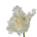 Floristik24 Fiore artificiale, tulipano pappagallo bianco verde, fiore primaverile 69 cm
