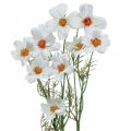 Floristik24 Fiori artificiali Cosmea fiori di seta bianca H51cm 3pz