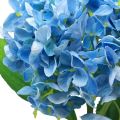 Floristik24 Decorazione di fiori artificiali ortensia artificiale blu 69 cm
