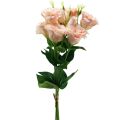 Floristik24 Fiori artificiali Eustoma Lisianthus rosa 52 cm 5 pezzi