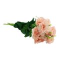 Floristik24 Fiori artificiali Eustoma Lisianthus rosa 52 cm 5 pezzi