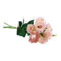 Floristik24 Fiori artificiali Eustoma Lisianthus rosa crema 52 cm 5 pezzi