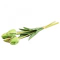 Floristik24 Fiori artificiali tulipano verde, fiore primaverile 48 cm fascio di 5