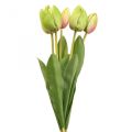 Floristik24 Fiori artificiali tulipano verde, fiore primaverile 48 cm fascio di 5
