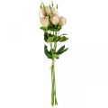 Floristik24 Fiori artificiali lisianthus crema 51 cm decorazione floreale 5 pezzi