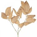 Floristik24 Pianta artificiale decorazione autunnale foglie ramo lavato bianco L70cm