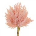 Rami decorativi Astilbe artificiali rosa artificiale H38cm 5 pezzi
