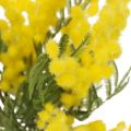 Floristik24 Pianta artificiale, acacia argentata, deco mimosa giallo, 39cm 3pz