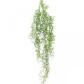 Floristik24 Pianta artificiale primaverile asparagi ramo decorativo connettivo verde H108cm