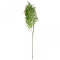 Pianta di asparagi primaverili artificiali ramo decorativo vincolante verde H108cm