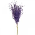 Floristik24 Piante artificiali erba secca viola floccata artificialmente 62 cm 3 pezzi