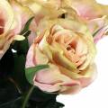 Floristik24 Art rose crema riempita, rosa Ø6cm L37cm 6 pezzi