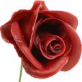 Rose artificiali Rose in cera bordeaux Rose decorative in cera Ø6cm 18 pz | Floristik24.it
