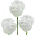 Floristik24 Rose artificiali rose in cera color crema rose decorative in cera Ø6cm 18 pz