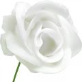 Floristik24 Rose artificiali rose in cera color crema rose decorative in cera Ø6cm 18 pezzi