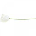 Rose artificiali rose in cera color crema rose decorative in cera Ø6cm 18 pz | Floristik24.it
